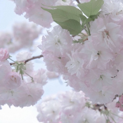 Furry绘画细节处理兽圈社群